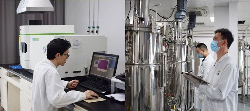 打造新朝陽生物科技“五張名片”,服務農業高質量發展!