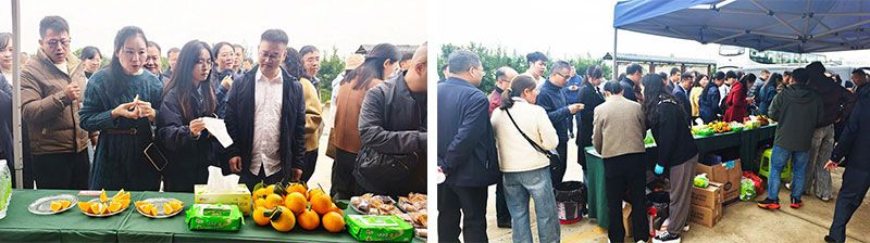 新朝陽生物技術助力綠色防控,推動柑橘產業綠色高質量發展