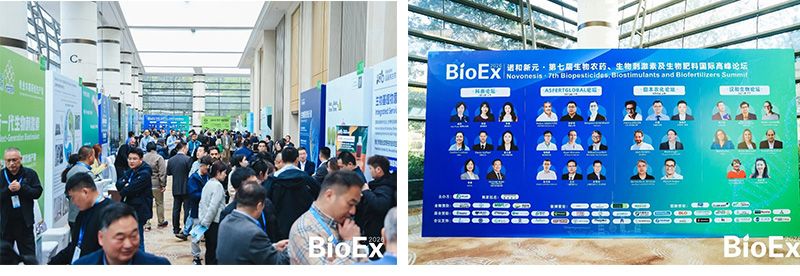 新朝陽(yáng)亮相BioEx 2026：技術(shù)供給+屬地化協(xié)同，推動(dòng)高性能生物刺激素高效落地