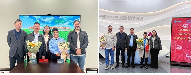 深化國(guó)際化布局，新朝陽(yáng)與巴西Juliagro簽署戰(zhàn)略合作協(xié)議